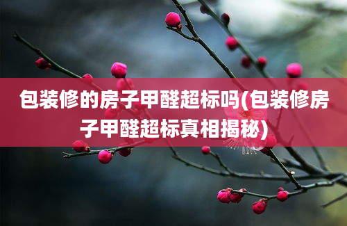 包装修的房子甲醛超标吗(包装修房子甲醛超标真相揭秘)