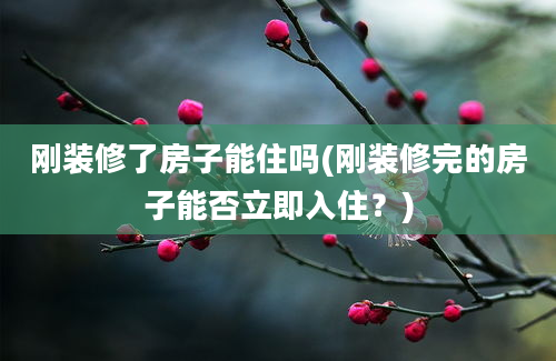 刚装修了房子能住吗(刚装修完的房子能否立即入住？)