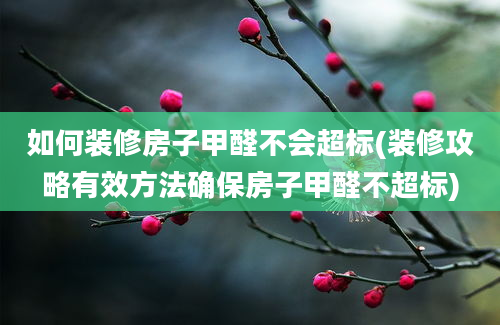 如何装修房子甲醛不会超标(装修攻略有效方法确保房子甲醛不超标)