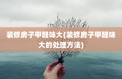 装修房子甲醛味大(装修房子甲醛味大的处理方法)