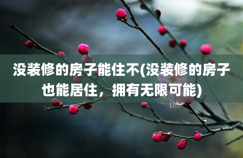 没装修的房子能住不(没装修的房子也能居住，拥有无限可能)