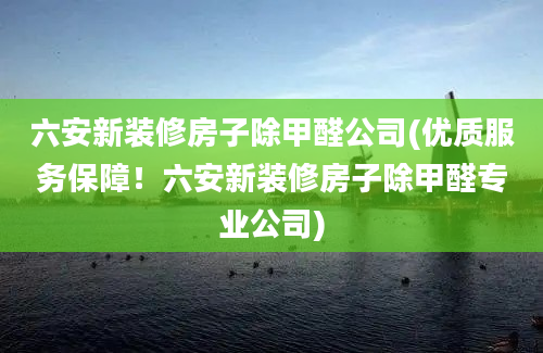 六安新装修房子除甲醛公司(优质服务保障！六安新装修房子除甲醛专业公司)