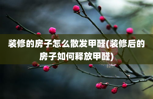 装修的房子怎么散发甲醛(装修后的房子如何释放甲醛)