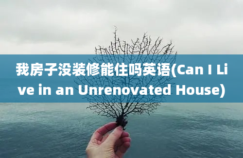 我房子没装修能住吗英语(Can I Live in an Unrenovated House)