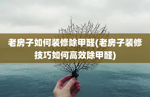 老房子如何装修除甲醛(老房子装修技巧如何高效除甲醛)