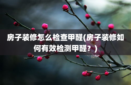 房子装修怎么检查甲醛(房子装修如何有效检测甲醛？)