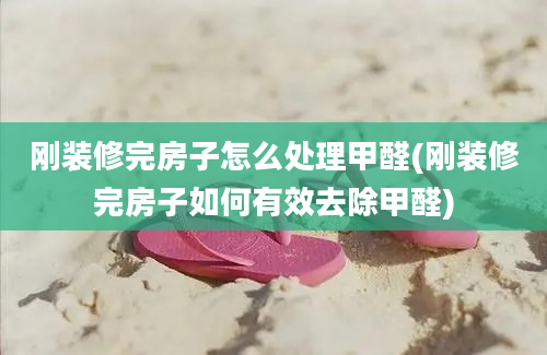 刚装修完房子怎么处理甲醛(刚装修完房子如何有效去除甲醛)