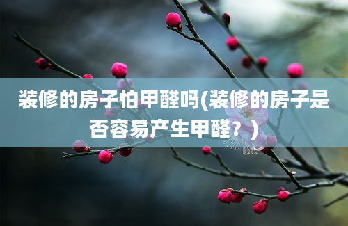 装修的房子怕甲醛吗(装修的房子是否容易产生甲醛？)