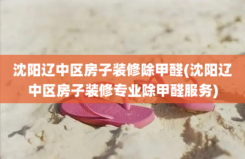 沈阳辽中区房子装修除甲醛(沈阳辽中区房子装修专业除甲醛服务)