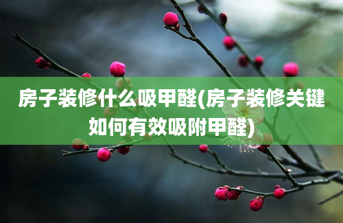 房子装修什么吸甲醛(房子装修关键如何有效吸附甲醛)