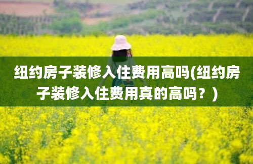 纽约房子装修入住费用高吗(纽约房子装修入住费用真的高吗？)