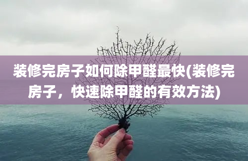 装修完房子如何除甲醛最快(装修完房子，快速除甲醛的有效方法)