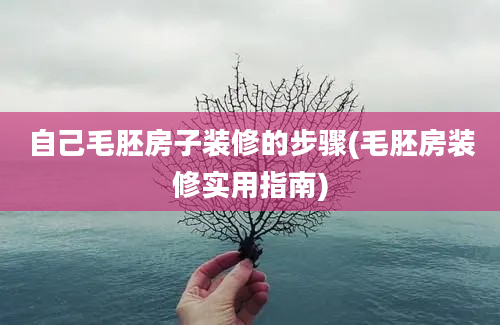 自己毛胚房子装修的步骤(毛胚房装修实用指南)