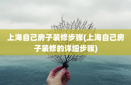 上海自己房子装修步骤(上海自己房子装修的详细步骤)