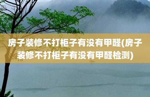 房子装修不打柜子有没有甲醛(房子装修不打柜子有没有甲醛检测)