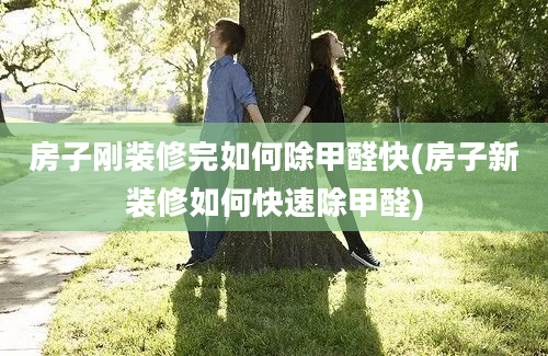 房子刚装修完如何除甲醛快(房子新装修如何快速除甲醛)