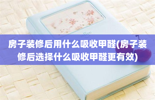 房子装修后用什么吸收甲醛(房子装修后选择什么吸收甲醛更有效)