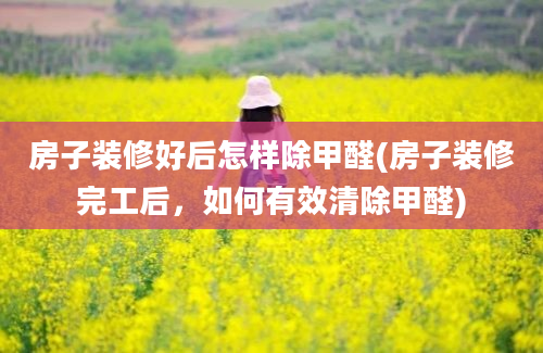 房子装修好后怎样除甲醛(房子装修完工后，如何有效清除甲醛)