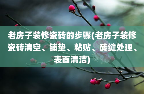 老房子装修瓷砖的步骤(老房子装修瓷砖清空、铺垫、粘贴、砖缝处理、表面清洁)