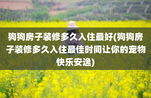 狗狗房子装修多久入住最好(狗狗房子装修多久入住最佳时间让你的宠物快乐安逸)