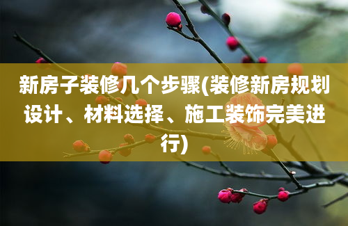 新房子装修几个步骤(装修新房规划设计、材料选择、施工装饰完美进行)