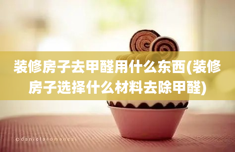 装修房子去甲醛用什么东西(装修房子选择什么材料去除甲醛)