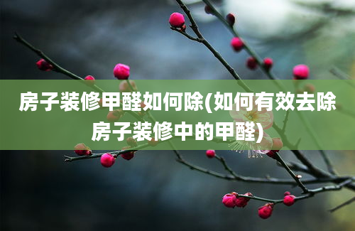 房子装修甲醛如何除(如何有效去除房子装修中的甲醛)