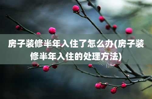 房子装修半年入住了怎么办(房子装修半年入住的处理方法)