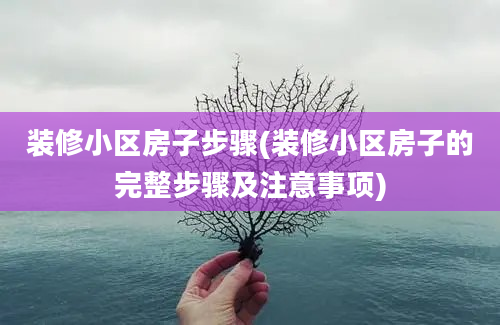 装修小区房子步骤(装修小区房子的完整步骤及注意事项)