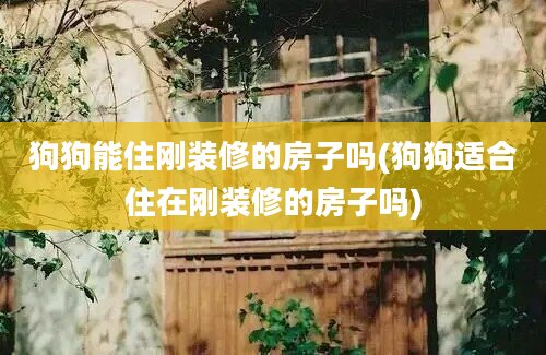 狗狗能住刚装修的房子吗(狗狗适合住在刚装修的房子吗)