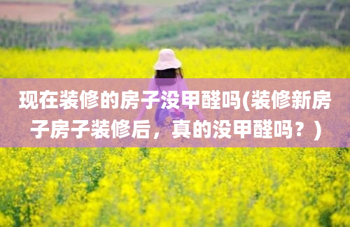 现在装修的房子没甲醛吗(装修新房子房子装修后，真的没甲醛吗？)