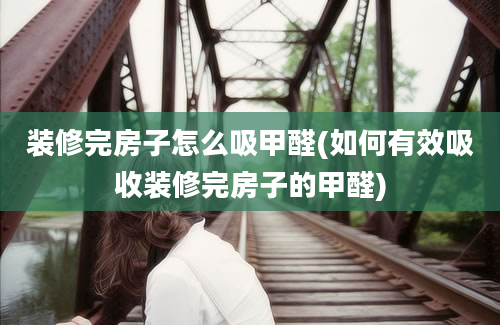 装修完房子怎么吸甲醛(如何有效吸收装修完房子的甲醛)