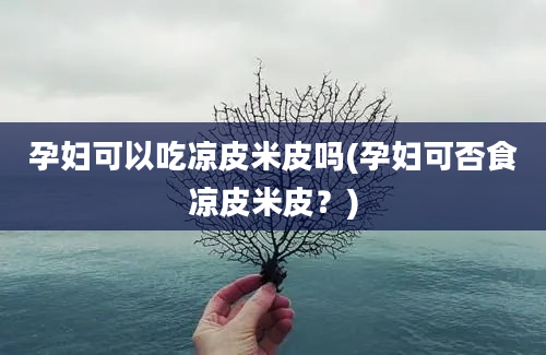 孕妇可以吃凉皮米皮吗(孕妇可否食凉皮米皮？)