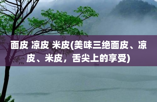 面皮 凉皮 米皮(美味三绝面皮、凉皮、米皮，舌尖上的享受)