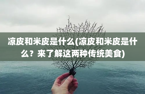 凉皮和米皮是什么(凉皮和米皮是什么？来了解这两种传统美食)