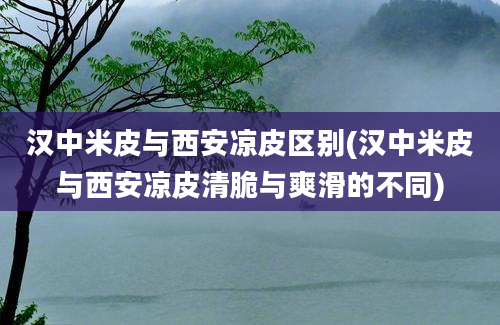 汉中米皮与西安凉皮区别(汉中米皮与西安凉皮清脆与爽滑的不同)