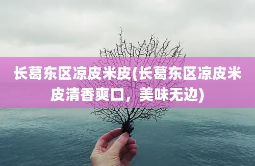 长葛东区凉皮米皮(长葛东区凉皮米皮清香爽口，美味无边)