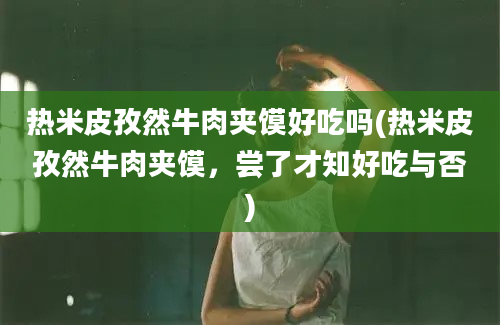 热米皮孜然牛肉夹馍好吃吗(热米皮孜然牛肉夹馍，尝了才知好吃与否)