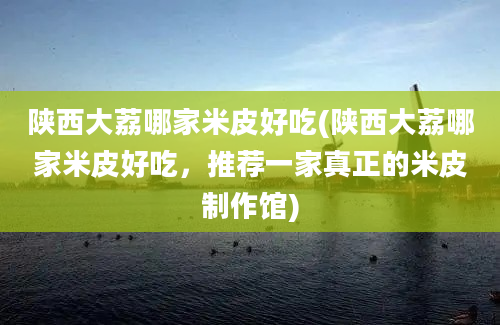 陕西大荔哪家米皮好吃(陕西大荔哪家米皮好吃，推荐一家真正的米皮制作馆)