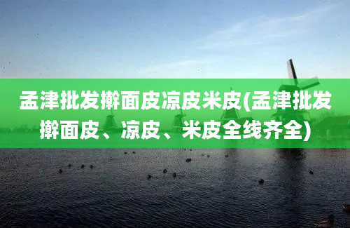 孟津批发擀面皮凉皮米皮(孟津批发擀面皮、凉皮、米皮全线齐全)