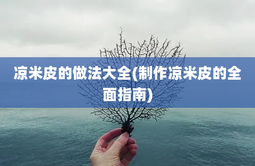 凉米皮的做法大全(制作凉米皮的全面指南)