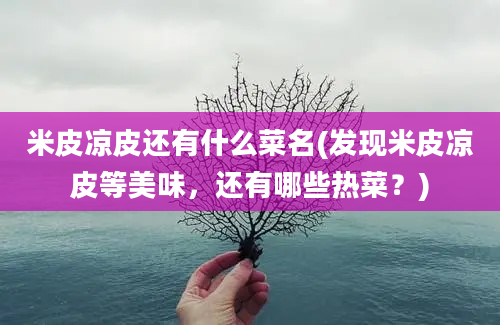 米皮凉皮还有什么菜名(发现米皮凉皮等美味，还有哪些热菜？)