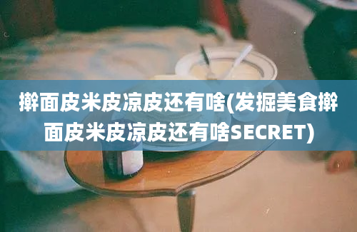 擀面皮米皮凉皮还有啥(发掘美食擀面皮米皮凉皮还有啥SECRET)