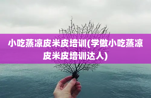 小吃蒸凉皮米皮培训(学做小吃蒸凉皮米皮培训达人)