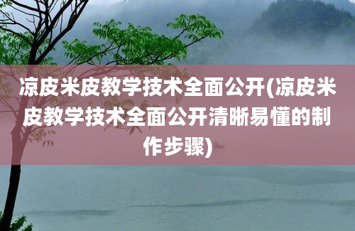 凉皮米皮教学技术全面公开(凉皮米皮教学技术全面公开清晰易懂的制作步骤)