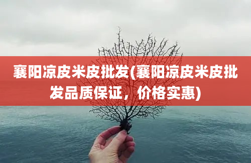 襄阳凉皮米皮批发(襄阳凉皮米皮批发品质保证，价格实惠)