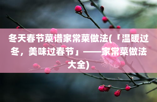 冬天春节菜谱家常菜做法(「温暖过冬，美味过春节」——家常菜做法大全)