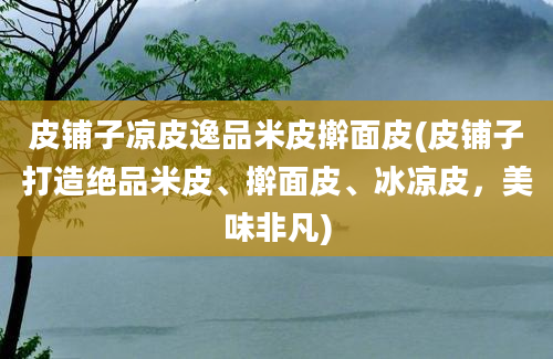 皮铺子凉皮逸品米皮擀面皮(皮铺子打造绝品米皮、擀面皮、冰凉皮，美味非凡)