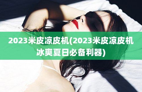 2023米皮凉皮机(2023米皮凉皮机冰爽夏日必备利器)