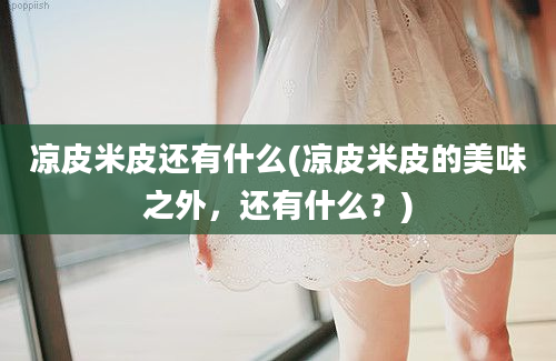 凉皮米皮还有什么(凉皮米皮的美味之外，还有什么？)